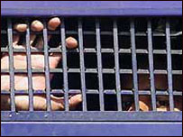 ڈیرہ غازی خان جیل(فائل فوٹو)