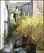 Ashburton Leat 