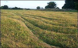St Catherines Hill