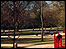 Victoria Park