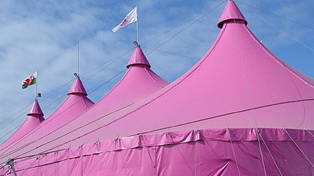 Pink pavilion
