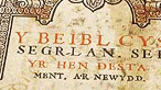 hen feibl