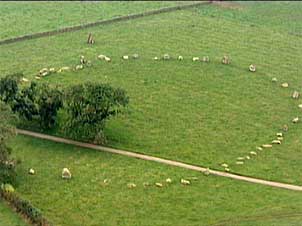 Long Meg