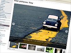 Your pictures: Tiny
