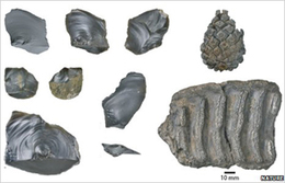Happisburgh finds