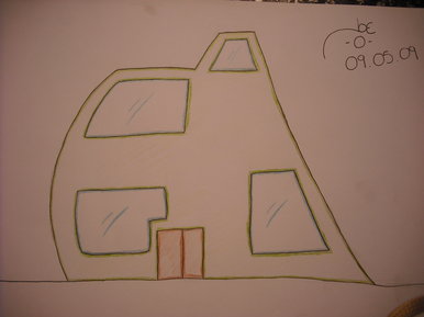 Shape house