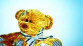 Teddy