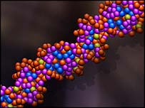 Modelo de DNA