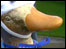 horley duck