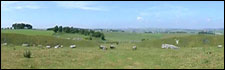 Arbor Low