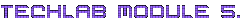 Techlab Module 5