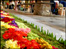 Salisbury Cathedral - Flower Festival 2008