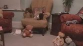 Toys alive Toys alive
