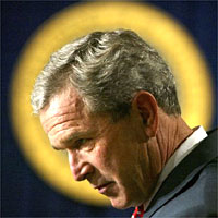 Bush.jpg