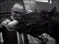 Horse drinking beer