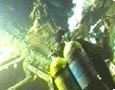 Diver exploring the seabed for archaeological evidence