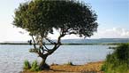 Kenfig Nature Reserve by Foomandoonian