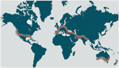 Map of Mark's route