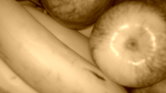 sepia fruit