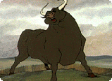 Bull