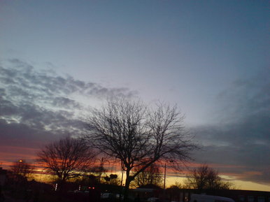 Random view