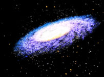 cosmos