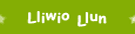 Lliwio Llun