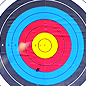 A firing target