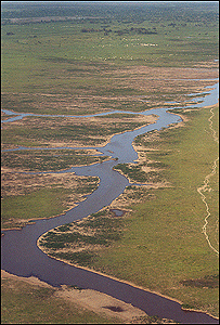 Amazônia