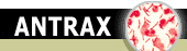 Vše o onemocnění antrax - původ nemoci, šíření, projevy
