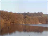 Knypersley Pool