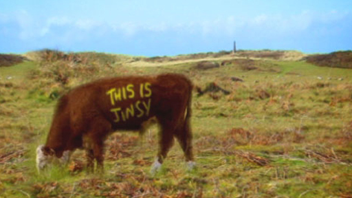 jinsycow.jpg