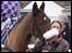 The winning steed in the BBC 95.5 horse race