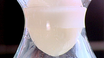 an egg suqeezes its way down the neck of the bottle