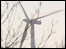 Wind turbine