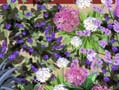 Lust for Life Planting Plan