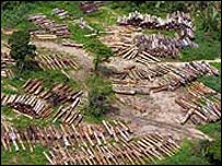 Desmatamento na Floresta Amazônica