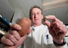 potatoes.jpg