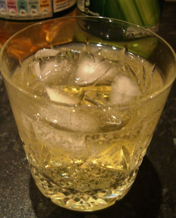 ginger-ale-and-lime.jpg