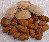  دبادام ګټې