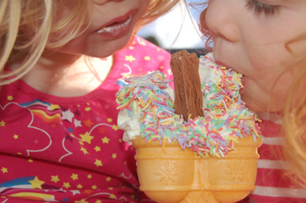 Double by Emma Shepherd