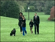 dog_obama226.gif