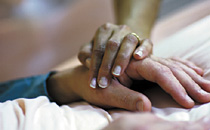 Hands