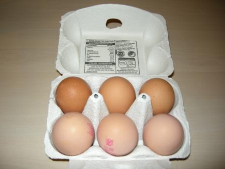 eggs.JPG