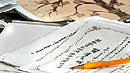 Further sources - image of a family tree - www.istockphoto.com