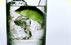gin and tonic