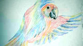 Parrot In Flight...