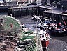 Amlych (Gwynedd, Anglesey)