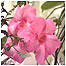 Estates index (Image: Plant)