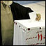 صندوق رای